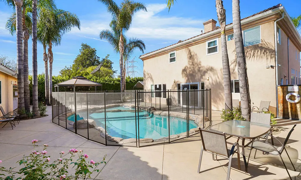 backyard Overview