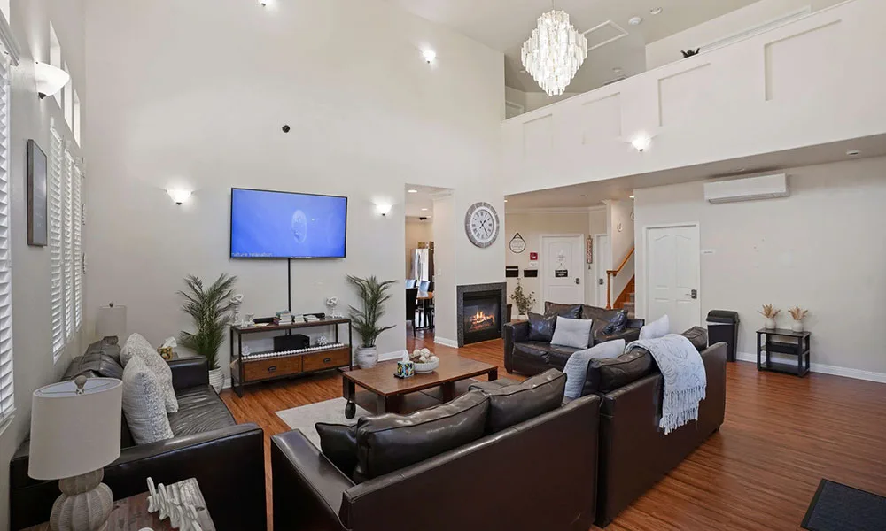 Living room overview